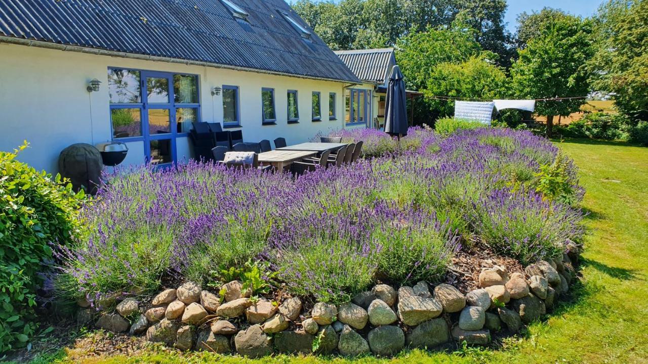 Rolso Retreat Villa Knebel Dış mekan fotoğraf